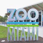 Zoo Miami