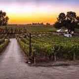 Bokisch Vineyards