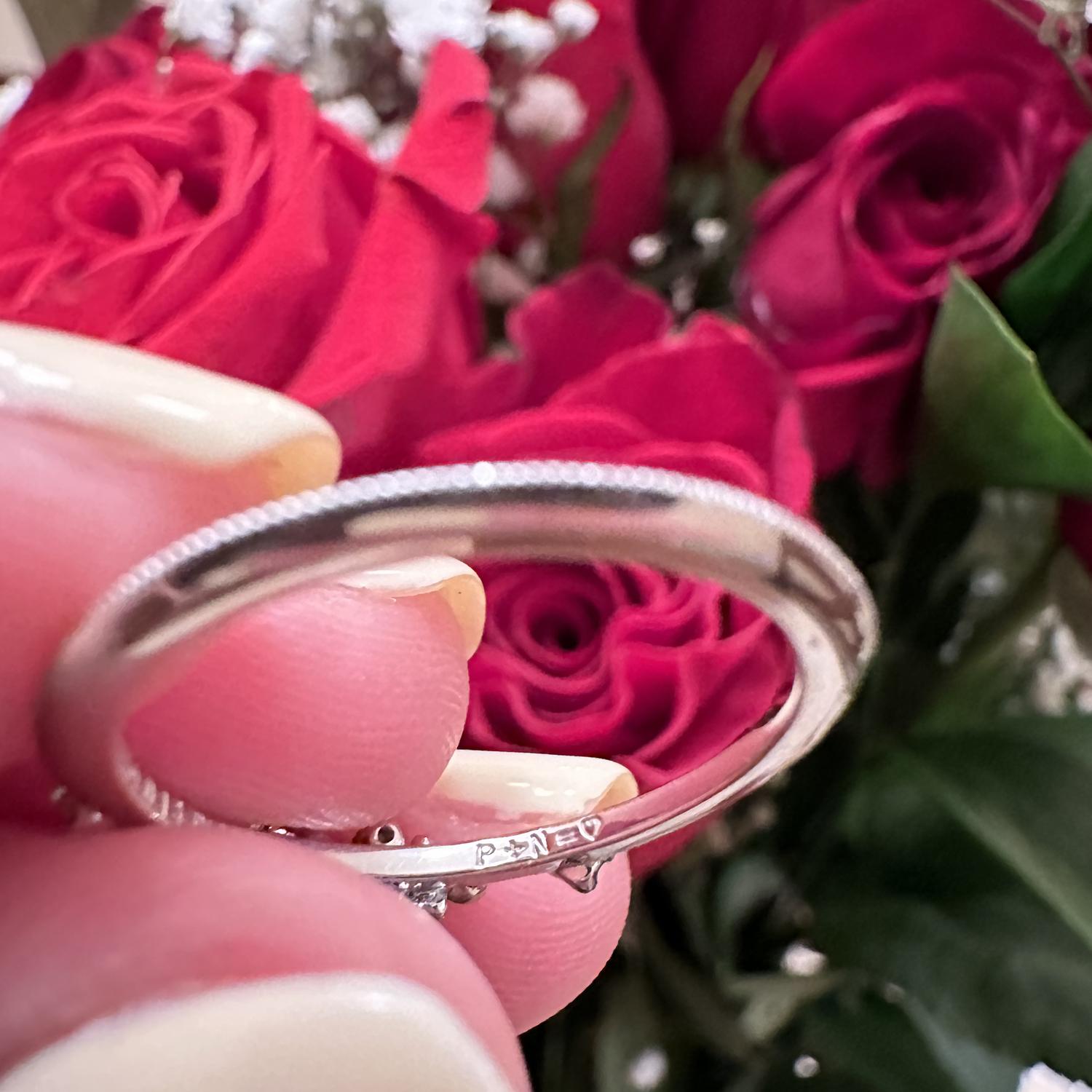 P+N=❤️💍