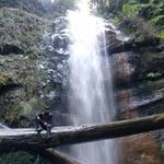 Big Basin Redwoods State Park