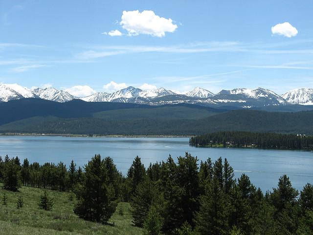 The Wedding Website of Loretta Tracy and Scott Calhoun