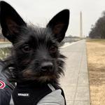 Check Out Our Full Detailed Guide To DC
