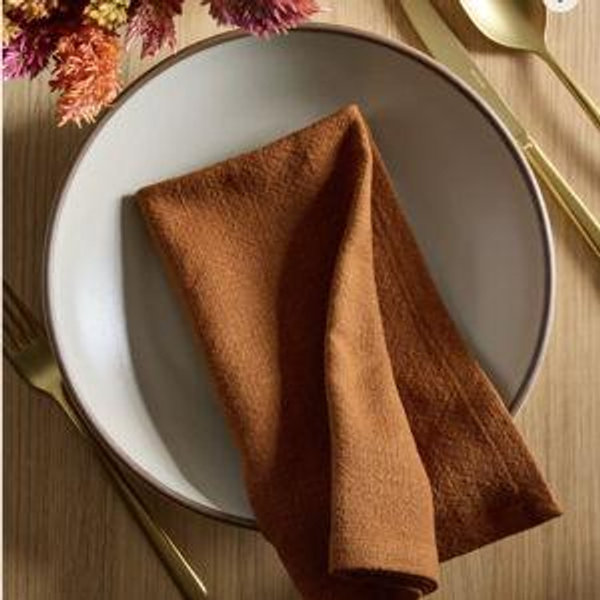 Organic Cotton Napkins (Set of 8)- Terracotta