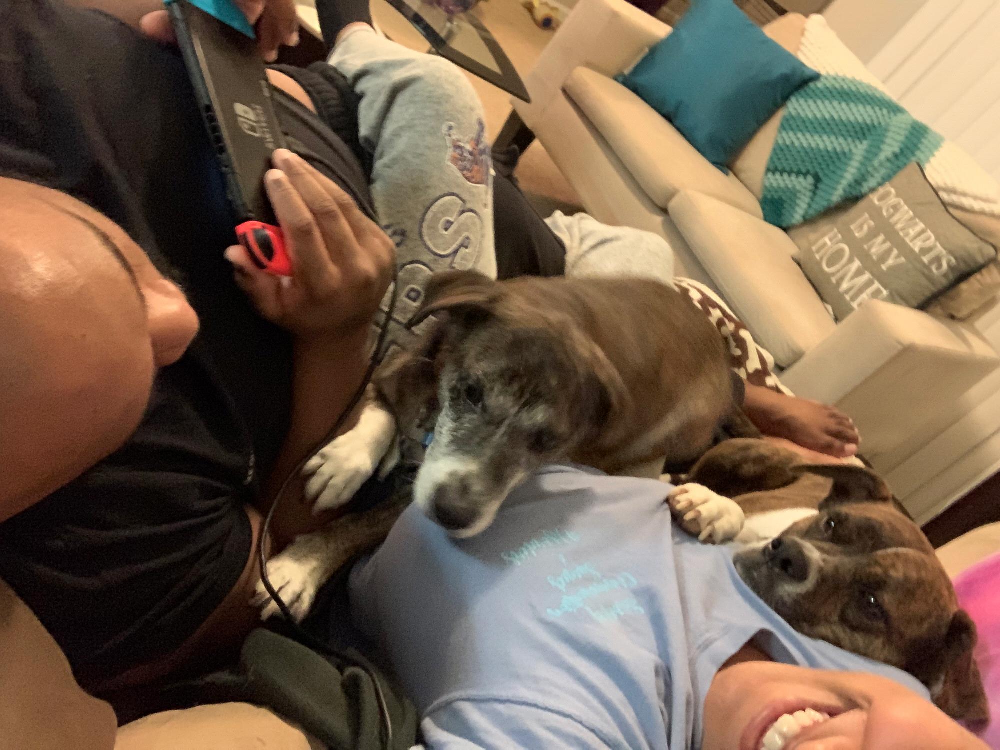 Family cuddles