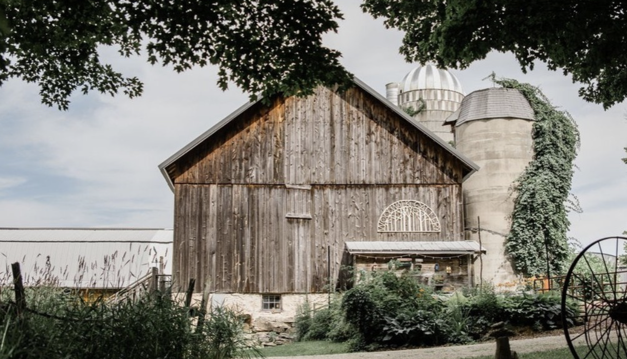 The Wedding Website of Michaela Moy and Raphael Allen