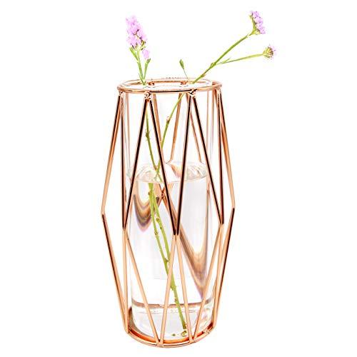 Gelible Geometric Glass Flower Vase Metal Holder, Crystal Clear Transparent Planter Flowers Vase,Handcrafted Plating Metal Vase,Clear Vase Decorative for Home Office Wedding Holiday Party Celebrate