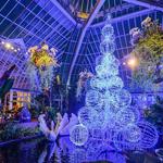 Phipps Conservatory and Botanical Gardens