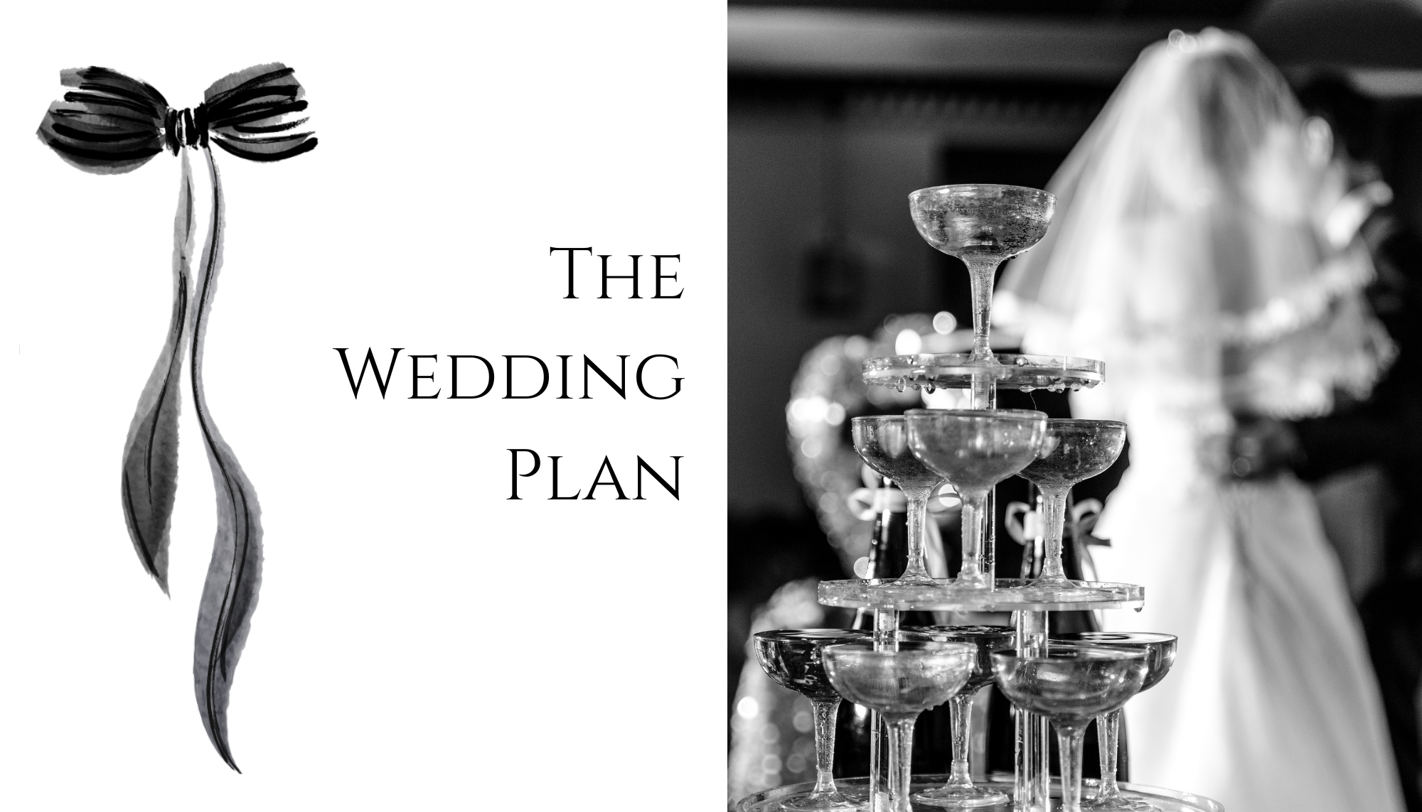 The Wedding Website of Stephanie Breiling and Andrew Contaxis
