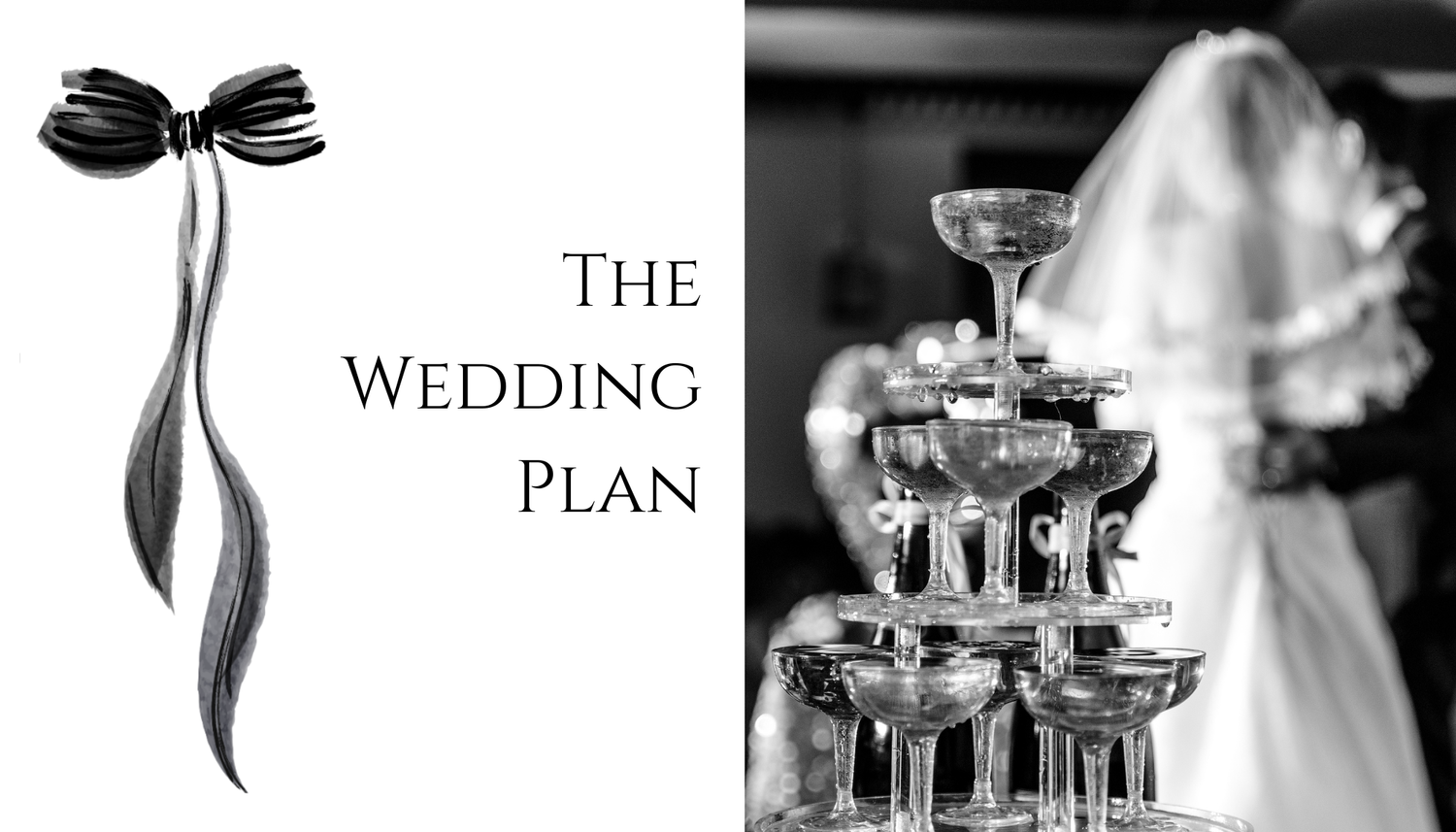 The Wedding Website of Stephanie Breiling and Andrew Contaxis