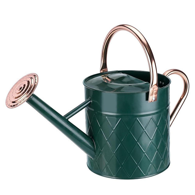 BLstyle 1.75 Gallon Outdoor Metal Watering Can for Garden Plants, Vintage Zinc Watering Can with Removable Spray Spout, Ideal for Outdoor Use (Green)