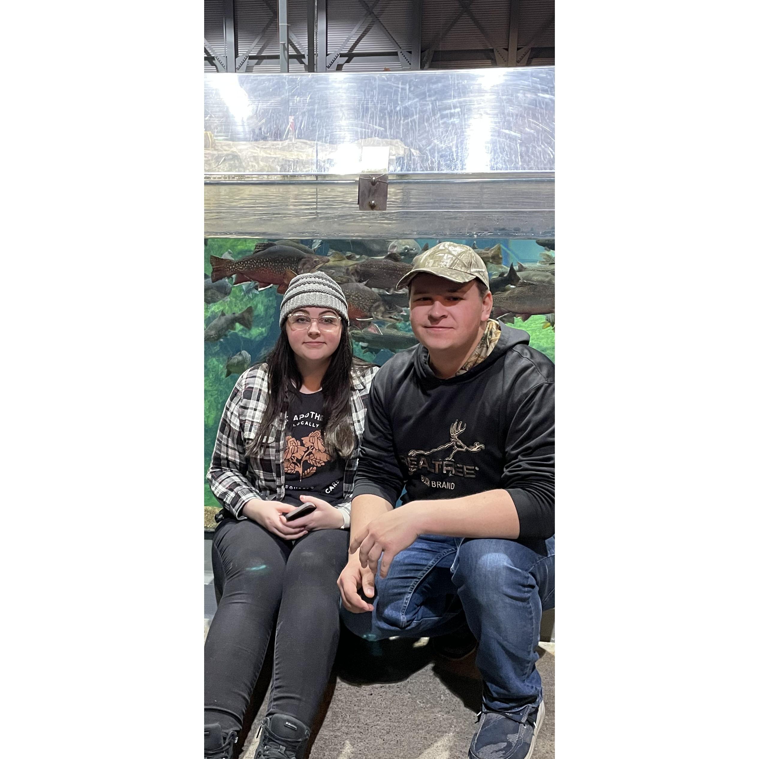Sharing our love of Aquariums!