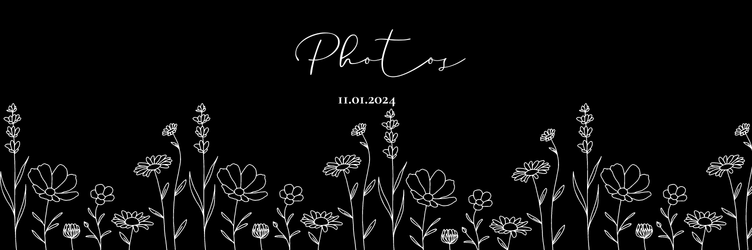 The Wedding Website of Ali Laberda and Michael Cha