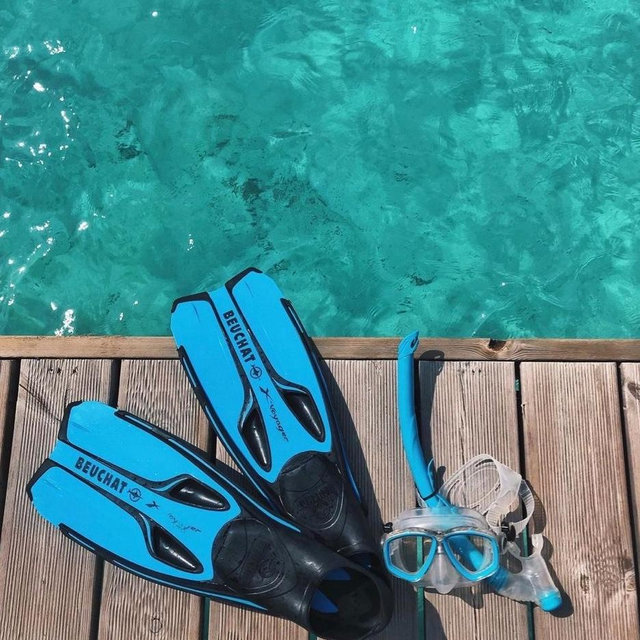 Snorkeling excursion🤿🐠🐬🐢