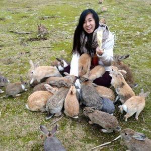Excursion to rabbit island