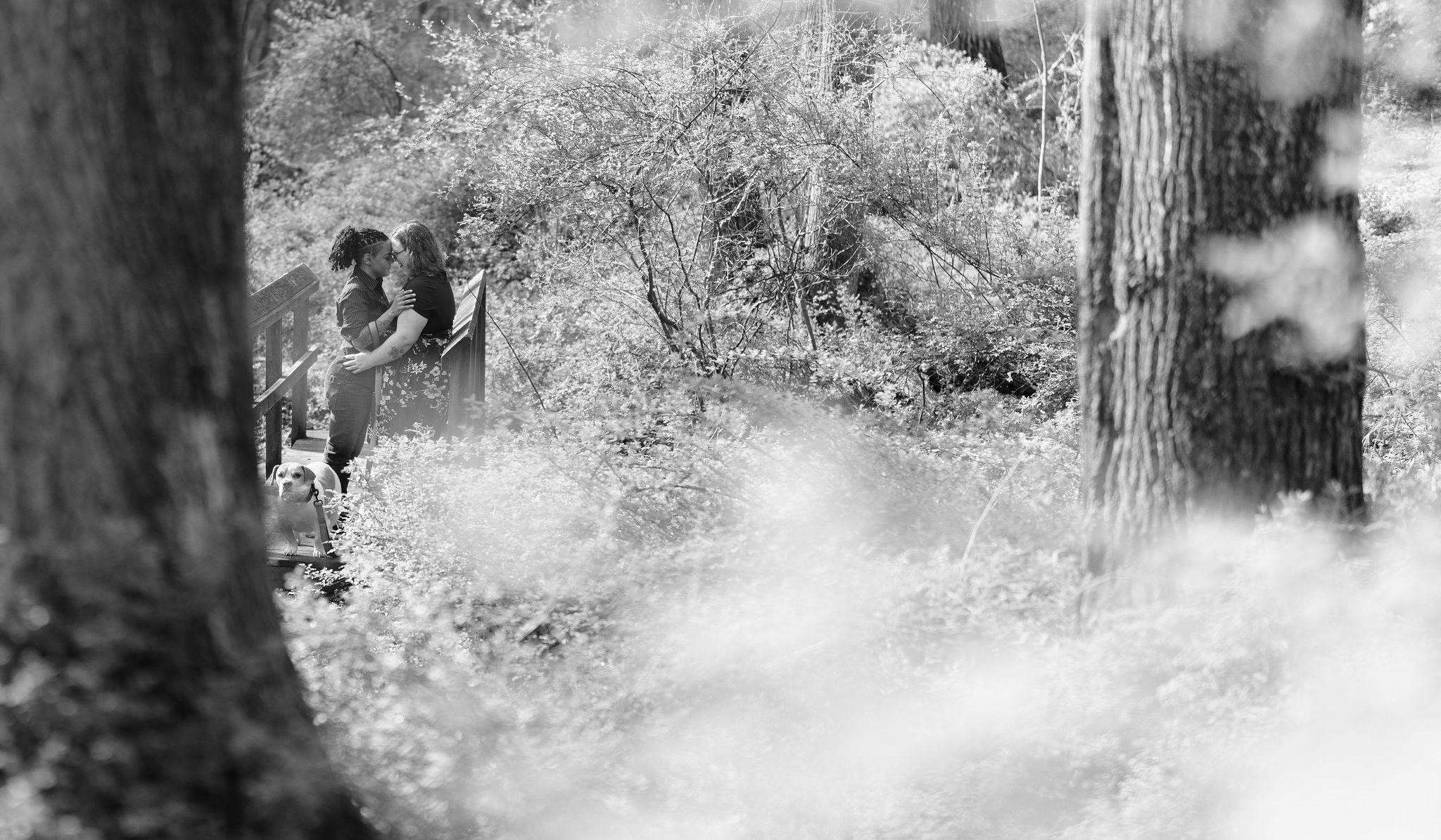 Hero Slideshow Image 0