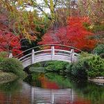 Fort Worth Botanic Garden