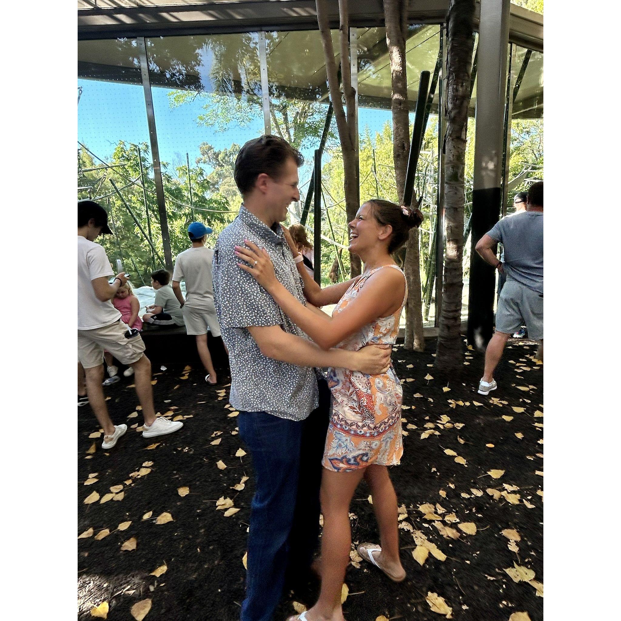 Engagement at the SD Zoo. I love orangutans-specifically Karen.