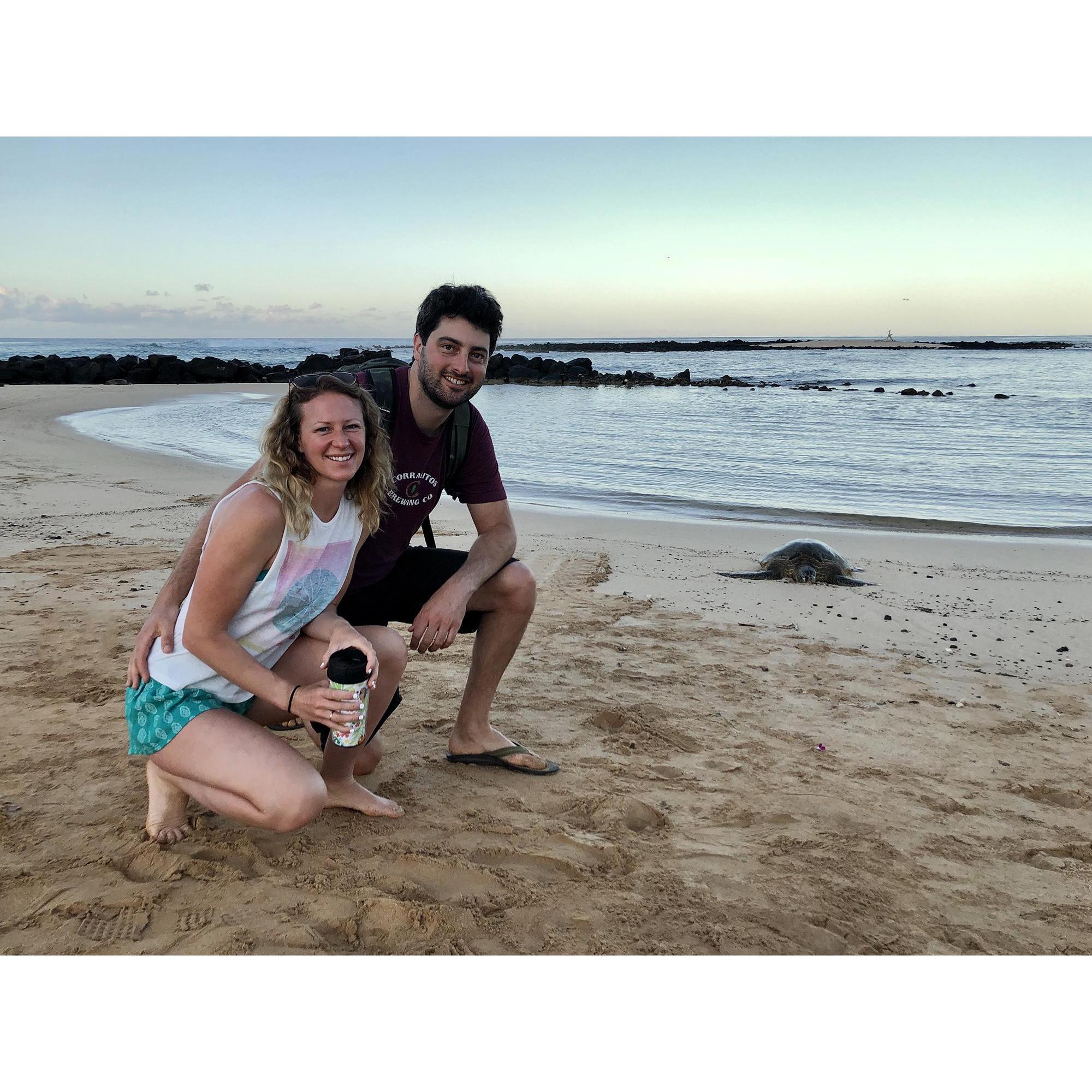 Sunrise in Kauai with a sea turtle, 2021