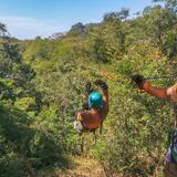 Ziplining - Monkey Jungle
