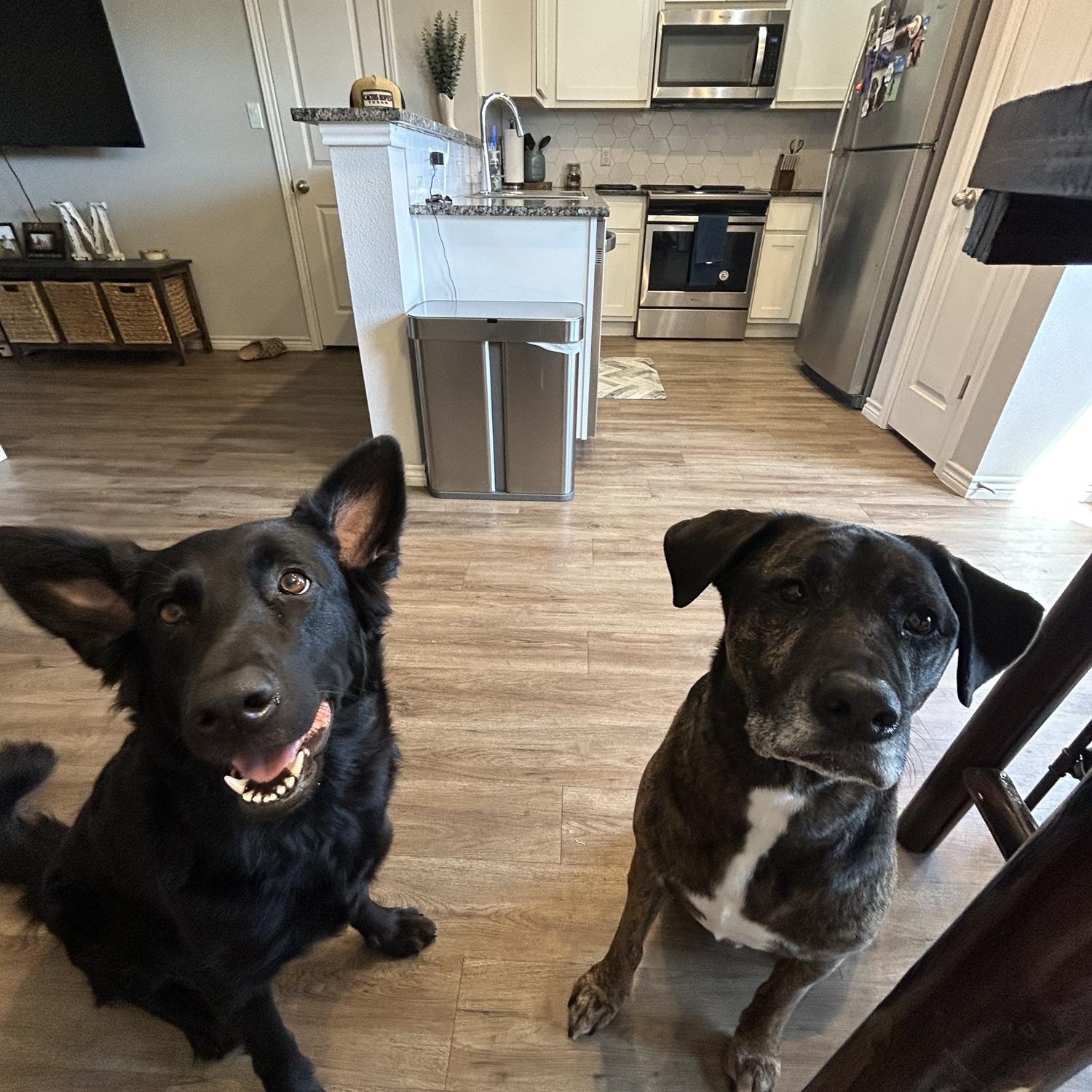 Our babies