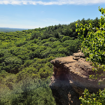 Levis Mound Trail
