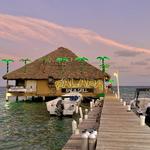 Palapa Bar and Grill
