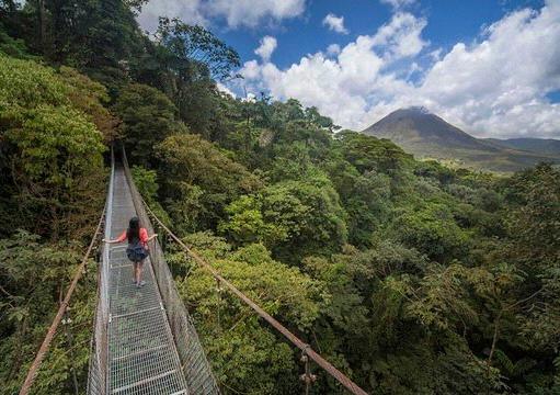 Hanging Bridges tour at Arenal Volcano