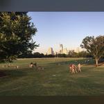 Zilker Park