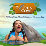 Dolphin Cove Ocho Rios