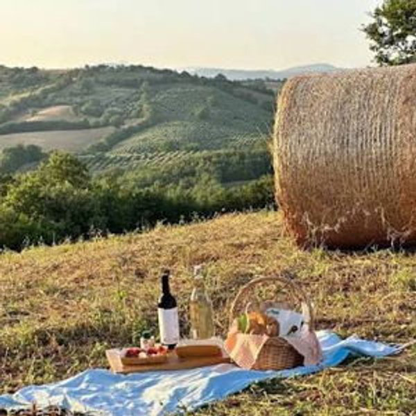 Picnic at the Vecchie Terre di Montefili