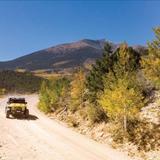 Scenic Drives