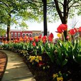 Bentonville City Square