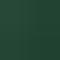 Evergreen