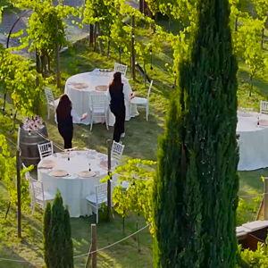 Honeymoon Activity: Tuscan Dinner in the Vines