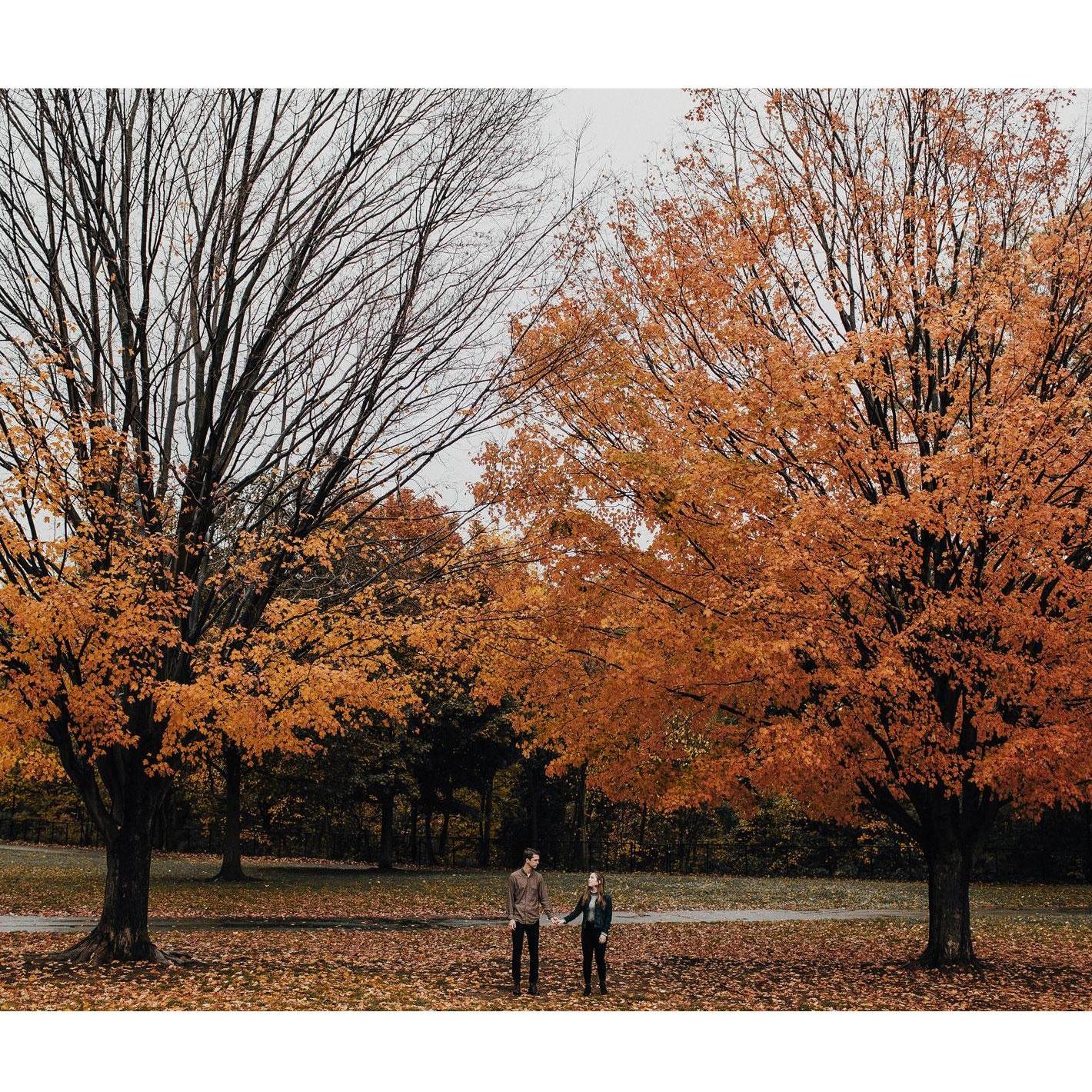 Prospect Park- where we got engaged.
