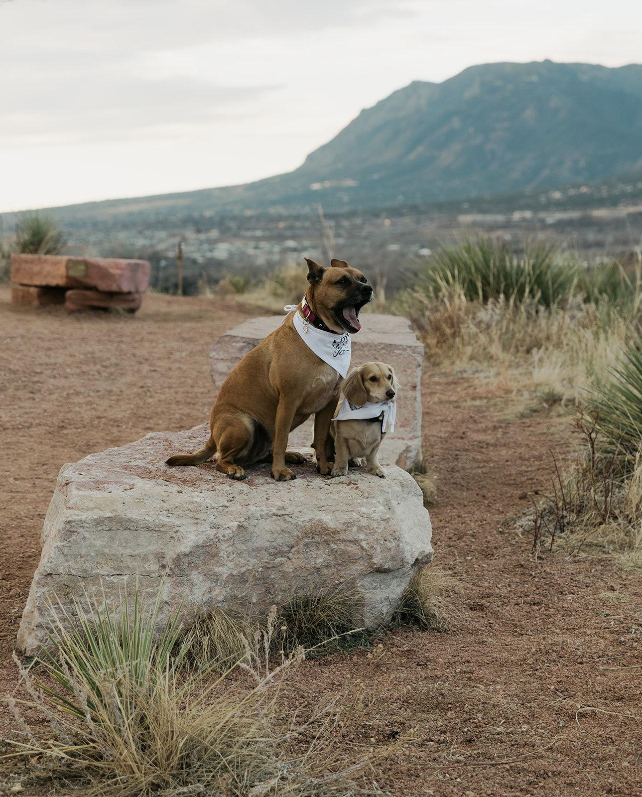 The Wedding Website of Carissa Belcher and Tanner Keiley
