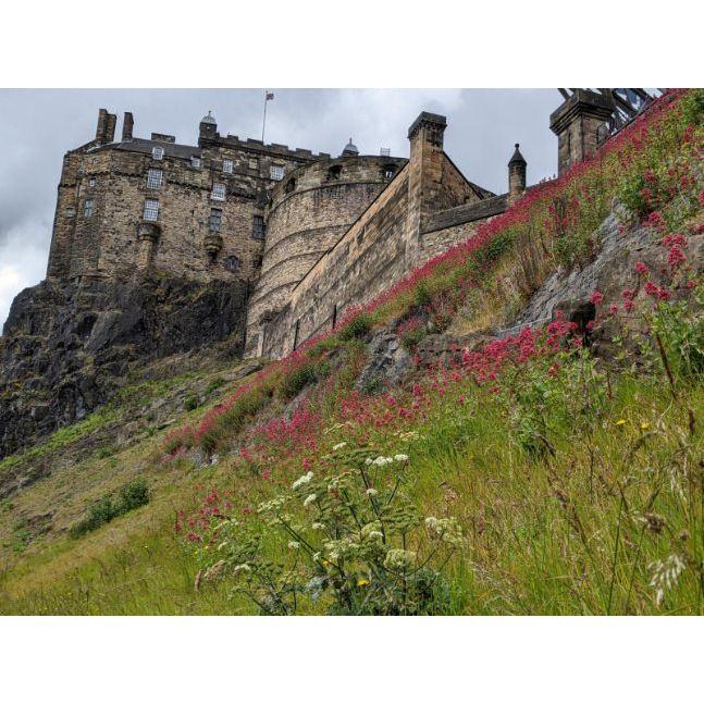 The Edinburgh Castle from below, it is a brilliant strategic castle as on three sides there is sheer cliff to climb to get to it. The only access is the Royal Mile, or high street.
