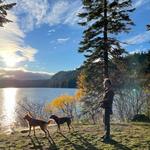 Suttle Lake Loop Trail