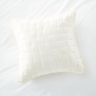 Audra Velvet Euro Sham