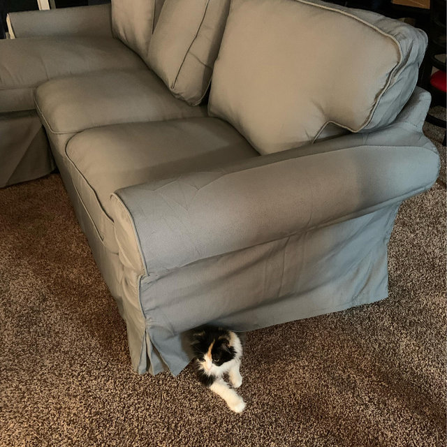 New Couch Fund