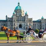Tally-Ho Carriage Tours