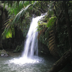El Yunque National Rainforest