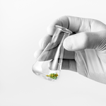 Abraxas Labs, LLC