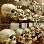 Mütter Museum