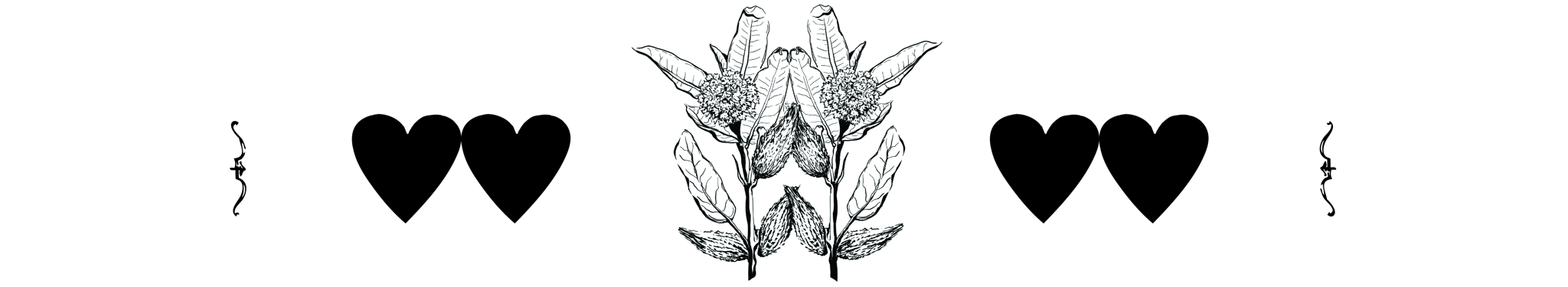 The Wedding Website of Sierra Mills Druley and Sam Ace Lance