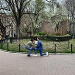 Cobble Hill Park