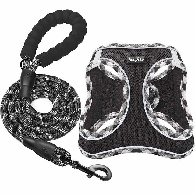 haapaw Dog Harness with Leash Set, No Pull Adjustable Reflective Step-in Puppy Harness with Thickened Padded Vest for Extra-Small/Small Medium Dogs