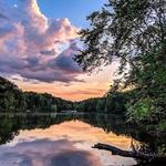 Anne Springs Close Greenway - Lake Haigler