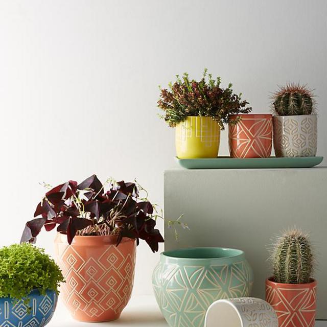 Sage Garden Pot