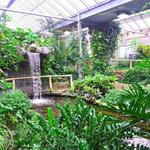Cambridge Butterfly Conservatory